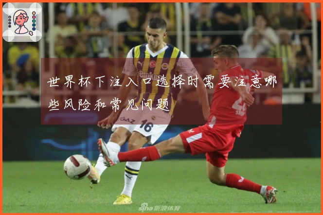 世界杯下注入口选择时需要注意哪些风险和常见问题