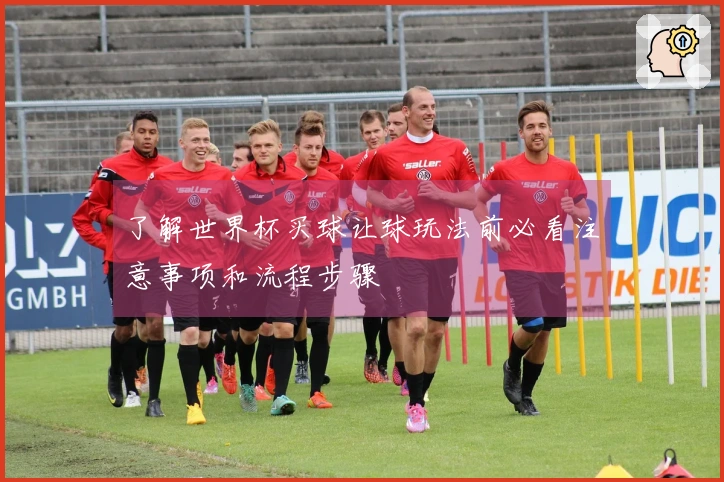 了解世界杯买球让球玩法前必看注意事项和流程步骤