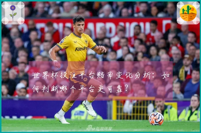 世界杯投注平台赔率变化分析：如何判断哪个平台更可靠？