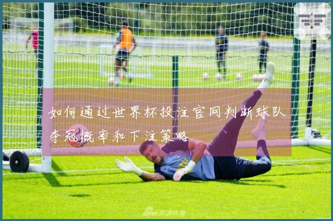 如何通过世界杯投注官网判断球队夺冠概率和下注策略