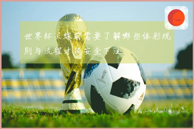 世界杯买球前需要了解哪些体彩规则与流程才能安全下注