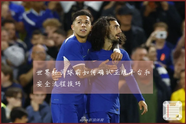 世界杯买球前如何确认正规平台和安全流程技巧
