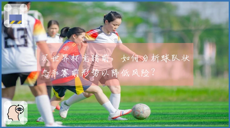 买世界杯竞猜前，如何分析球队状态和赛前形势以降低风险？
