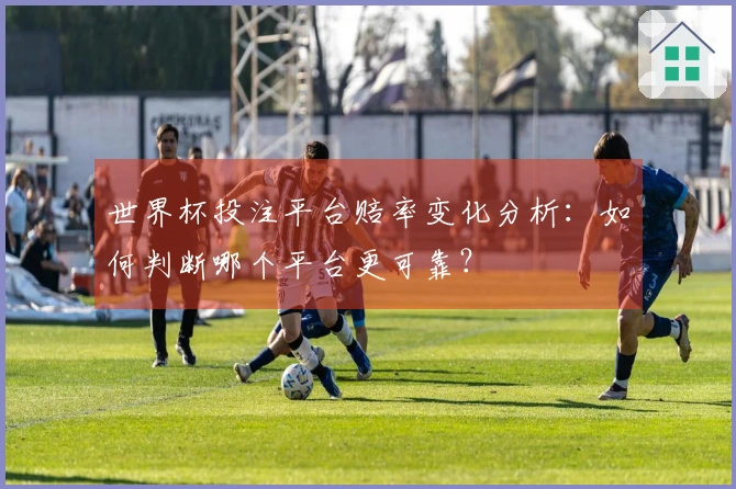 世界杯投注平台赔率变化分析：如何判断哪个平台更可靠？