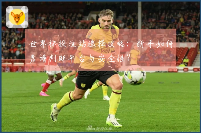 世界杯投注站选择攻略：新手如何靠谱判断平台与安全性？