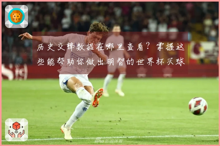 历史交锋数据在哪里查看？掌握这些能帮助你做出明智的世界杯买球决策