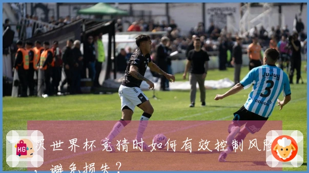 买世界杯竞猜时如何有效控制风险，避免损失？