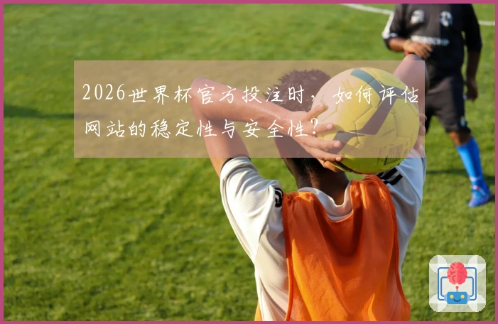 2026世界杯官方投注时，如何评估网站的稳定性与安全性？