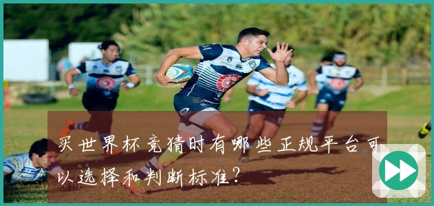买世界杯竞猜时有哪些正规平台可以选择和判断标准？