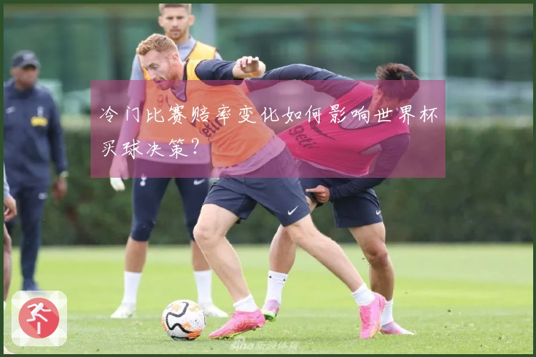 冷门比赛赔率变化如何影响世界杯买球决策？