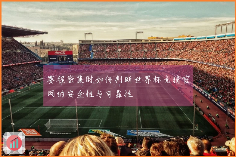 赛程密集时如何判断世界杯竞猜官网的安全性与可靠性