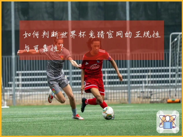 如何判断世界杯竞猜官网的正规性与可靠性？
