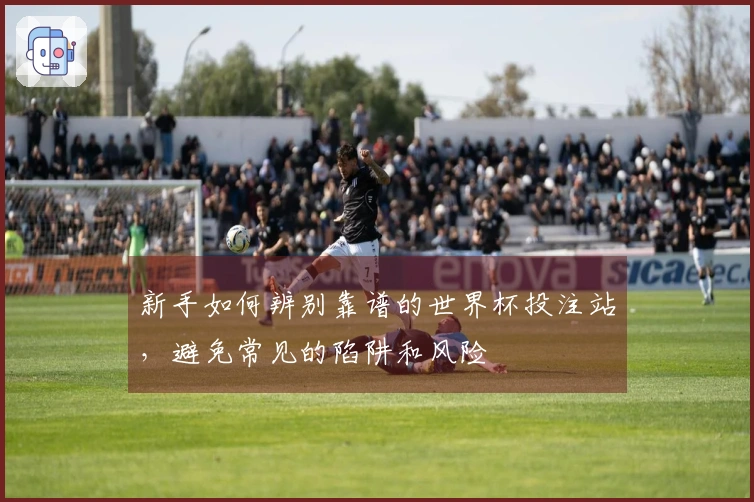新手如何辨别靠谱的世界杯投注站，避免常见的陷阱和风险