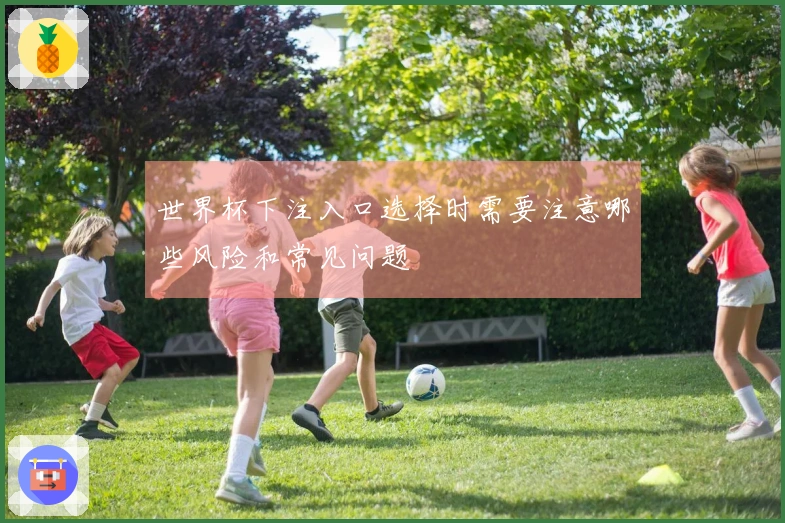 世界杯下注入口选择时需要注意哪些风险和常见问题