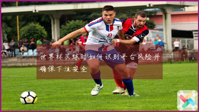 世界杯买球时如何识别平台风险并确保下注安全